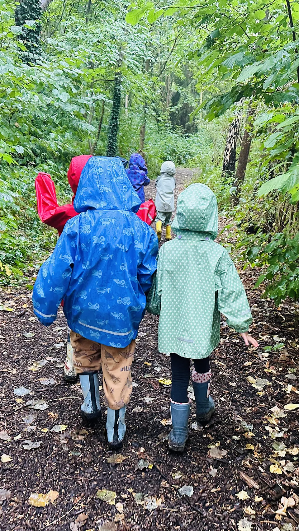 Waldspaziergang